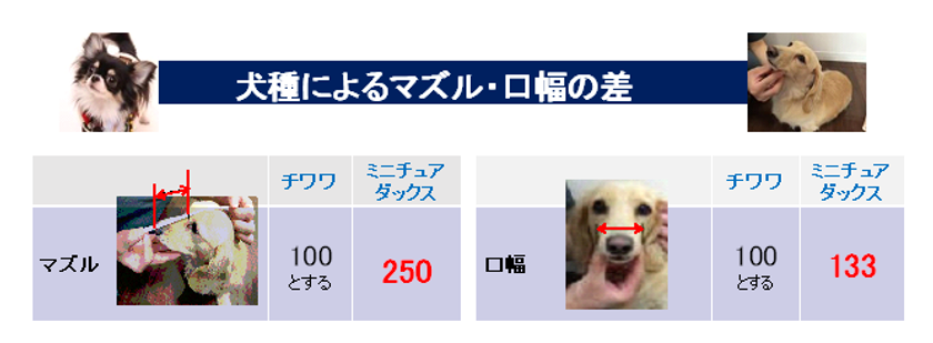 体が小さめな超小型犬・小型犬にぴったりの『グラン・デリ ふっくら仕立て 食べやすい超小粒』  2020年3月9日全国にて新発売｜ユニ・チャーム株式会社のプレスリリース