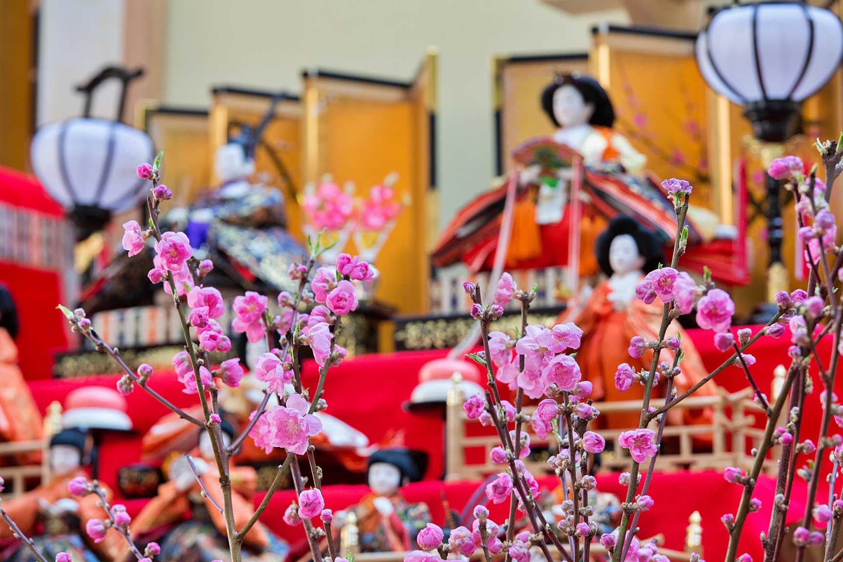 ぐんまフラワーパークで ひなまつり は花 雛人形を楽しむ 100体以上の雛人形も彩る ハナモモ人形展 を2月15日から開催 カネコ種苗 ぐんまフラワーパークのプレスリリース