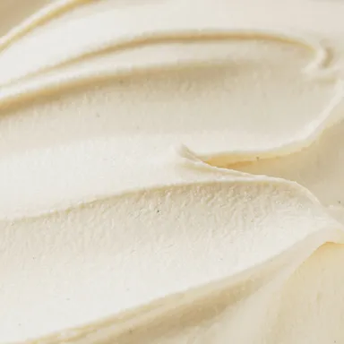 ヴィーガン バニラジェラート