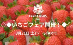 3月21日(土)～ START◆◇限定グルメ、いちご狩り、いちごマルシェを楽しむ！FARM CIRCUSで“いちごフェア”開催