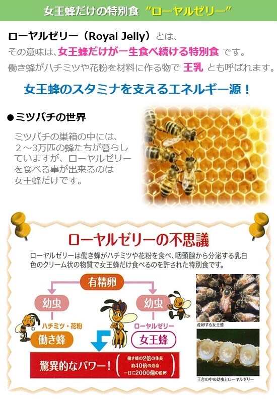 1709円 【在庫一掃】 プロポリス配合ローヤルゼリーサプリ ミツバチの恵み とろり 栄養機能食品