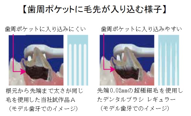 歯周ポケットまで届いて歯垢をかき出しやすいペット用歯ブラシ 『PETKISS(ペットキッス) デンタルブラシ 』新発売｜ライオン商事株式会社のプレスリリース