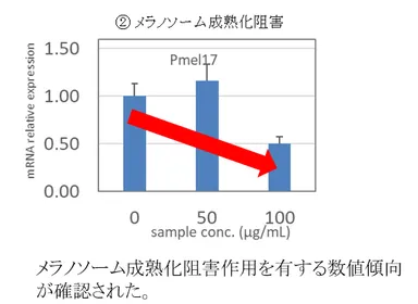 効果(2)黒く目立つシミに育たせる「メラノソーム」の阻害効果