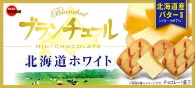 ブランチュールミニチョコレート北海道ホワイト