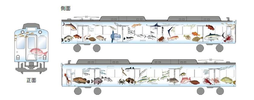 伊勢志摩の魚介類がテーマのラッピング車両「伊勢志摩お魚図鑑」を導入
鮮魚運搬などに活用します