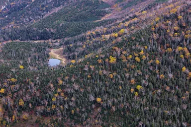 スイス庭園から見た水晶池