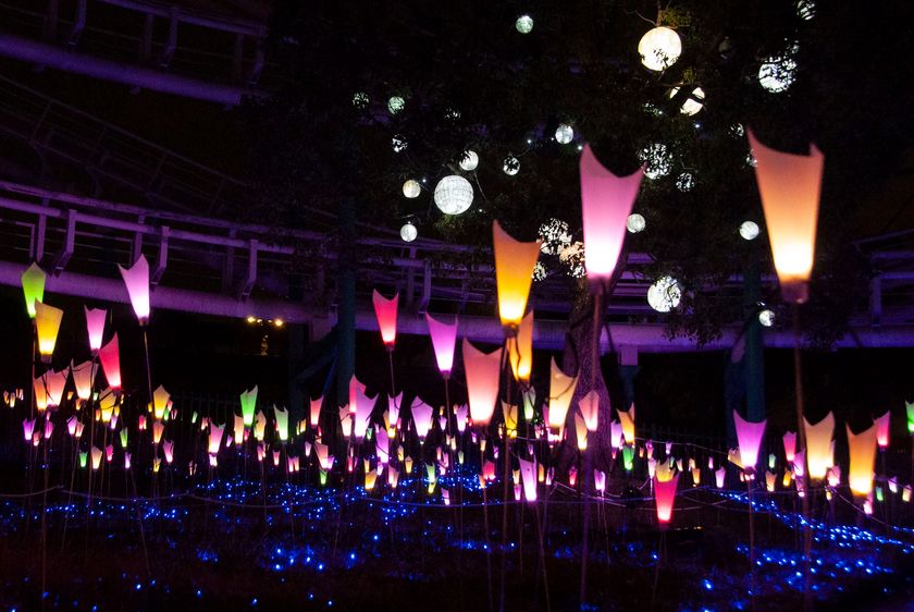 ひらかたパーク 春の夜に音と光が舞い踊る
「光の遊園地 ~Time Travel Fantasy~」
好評につき春休み期間限定で追加開催決定!