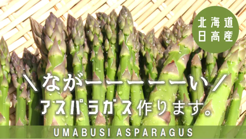 その長さ規格外!“うまぶしアスパラ” 『競走馬の馬糞と日高昆布 その長さ規格外!“うまぶしアスパラ” 『競走馬の馬糞と日高昆布