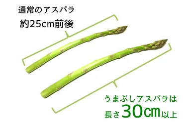 うまぶしアスパラ(7)