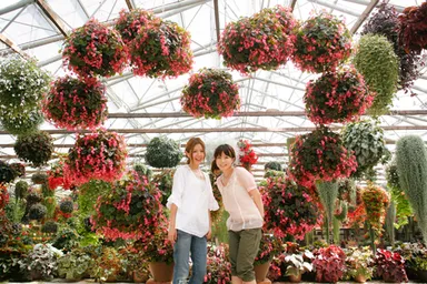 風水気学で導かれる松江の旅