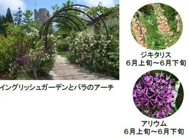 六甲ガーデンテラス　コッテージガーデン