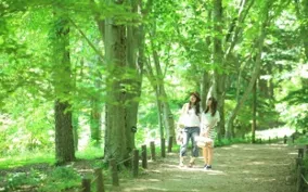 六甲高山植物園