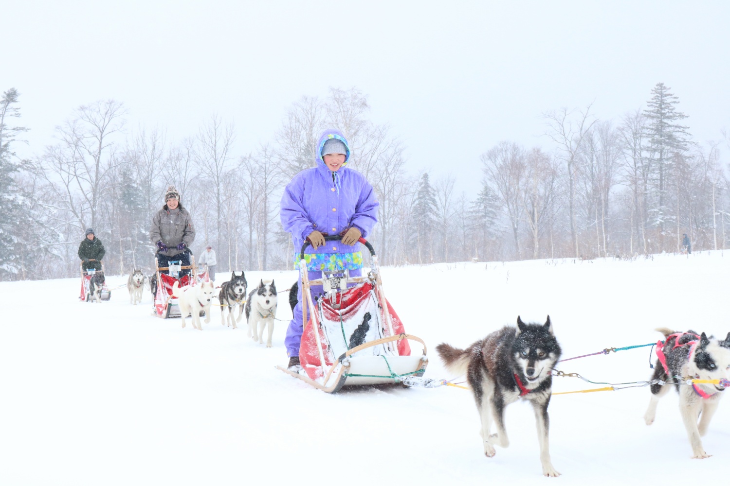 北海道上川町で まるで物語のような特別な体験を 銀世界を駆け巡ろう 大雪高原旭ヶ丘 犬ぞり体験プラン 上川町のプレスリリース