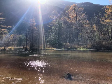 大正池エコツアーデスク