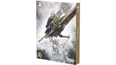 PlayStation 4化粧箱