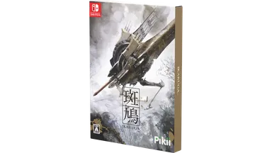 Nintendo Switch化粧箱