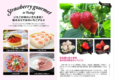 「タベサキ」2020年3月号：栃木でいちご一会2