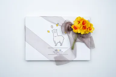 ヒートスムージー特別ラッピング1