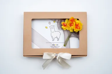 ヒートスムージー特別ラッピング2