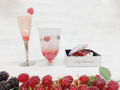 ラズベリーフェア1