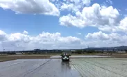 京都府内有数の米産地
