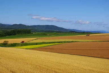 農作業が作り出す唯一無二の風景