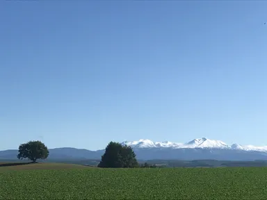 自然と畑が織りなすここにしかない景色