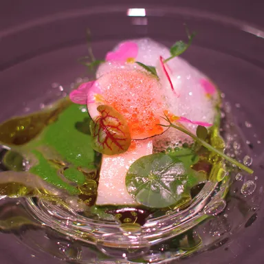 渓流の住人達 -大王イワナ森の香り-