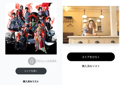 『コンテンツプラットフォームシステム』アーティスト写真イメージ