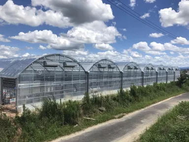 AIいちご【よつぼし】ハウス