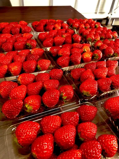 AIいちご【よつぼし】パック