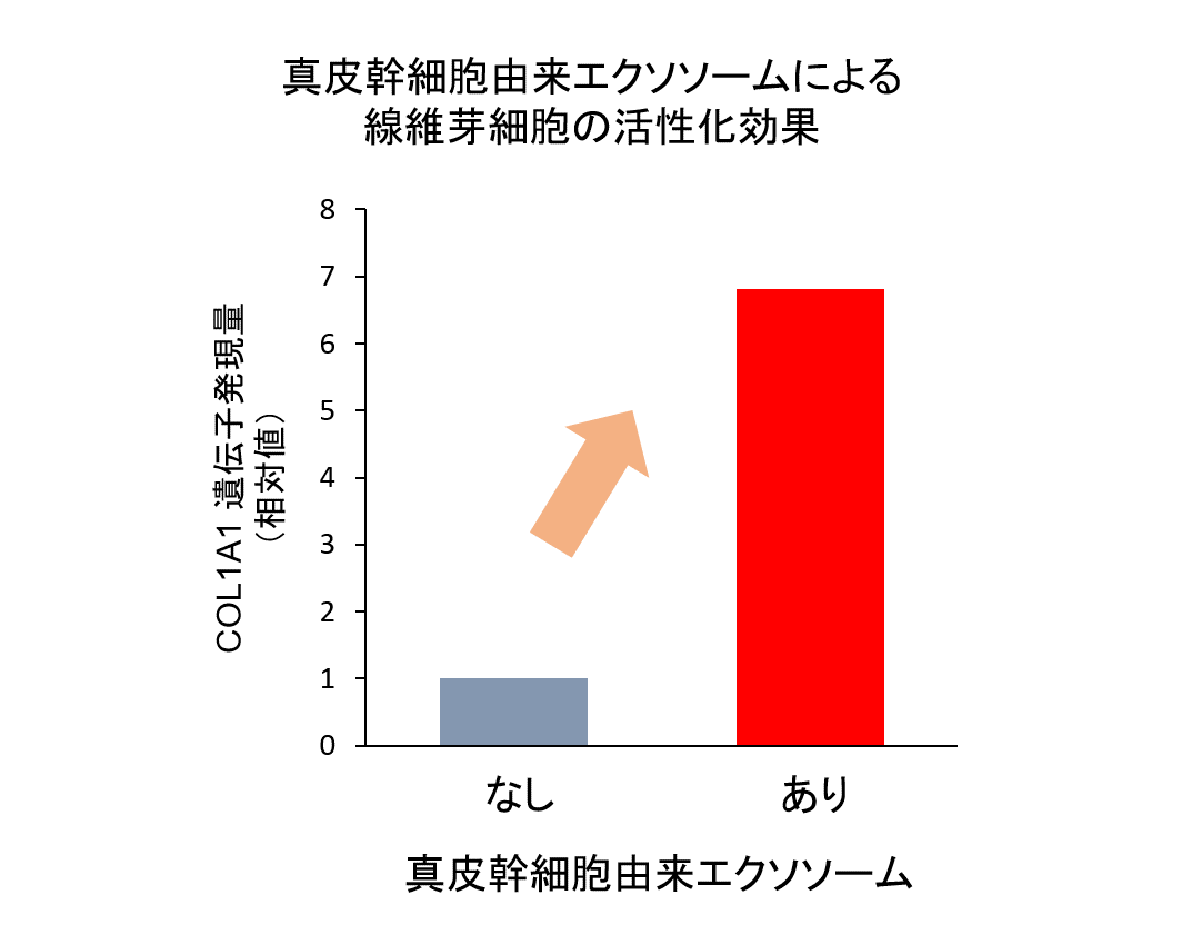 株式 日本 メナード 会社 化粧品