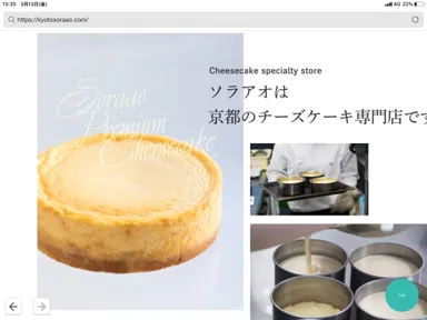 自社ホームページ