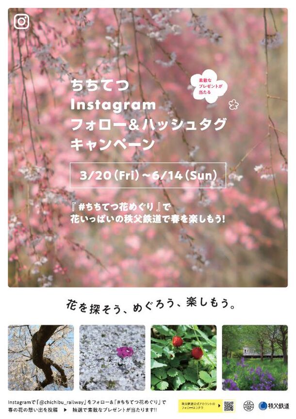 秩父鉄道 Instagramフォロー ハッシュタグキャンペーンを3月日 6月14に開催 ちちてつ花めぐり で参加しよう 今年の春は 花 を探そう めぐろう 楽しもう 秩父鉄道株式会社のプレスリリース