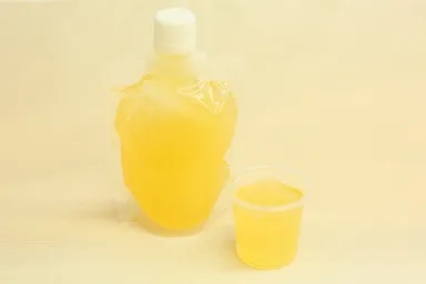 「Gelee de Gunma ジュレ ド グンマ(完熟りんごとこんにゃくセラミド)」(ぽむぽむの樹)