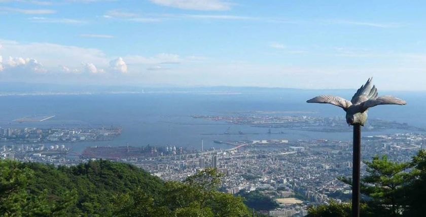 六甲山上施設 続々オープン
～春を迎えた青空の下、のびのびと遊ぼう！～
