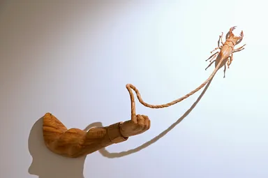 草食男子 クワガタ(撮影 福岡栄）