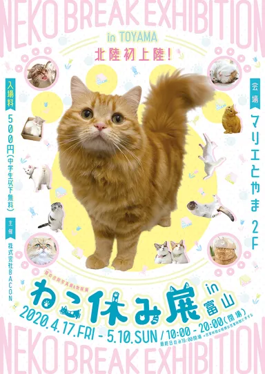 キービジュアル(縦)