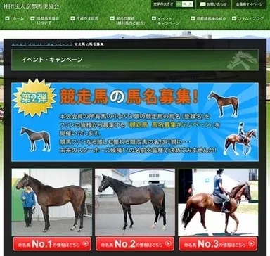 馬名募集画像イメージ