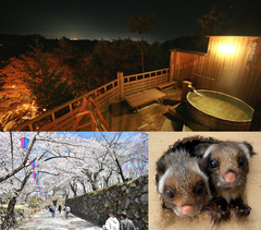 信州 小諸へヴァーチャル旅行！？自宅で味わう温泉、お花見、動物園