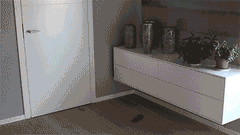 spring-gif3
