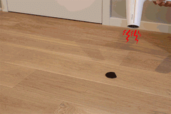 spring-gif5