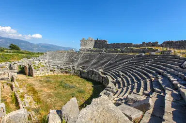 クサントス-レトーン(1988年登録)