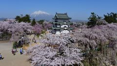 青森県「弘前さくらまつり」新型コロナウイルス感染予防と拡大防止のため開催を中止