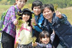 稲取細野高原「春の山菜狩りイベント」開催！4月11日(土)～5月6日(水・祝)の期間限定で春の山菜が採り放題　パラグライダー体験などのアクティビティも楽しめる