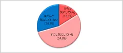 図1：あなたの夫はスキンケアを気にしていますか