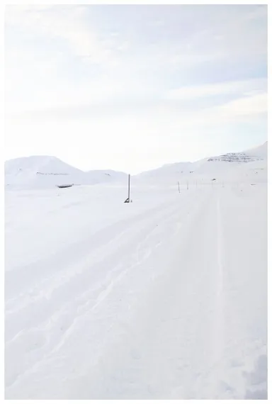 Leela Schauble, Tracks, 2020 (C) Leela Schauble  Courtesy of the artist