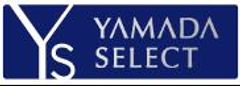 株式会社ヤマダ電機