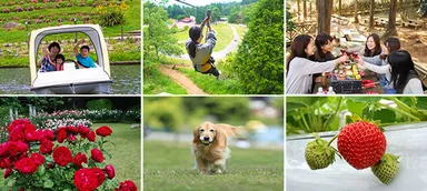 六甲山カンツリーハウス 園内の様子