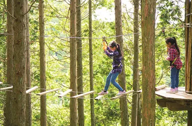 フォレストアドベンチャー・神戸六甲山